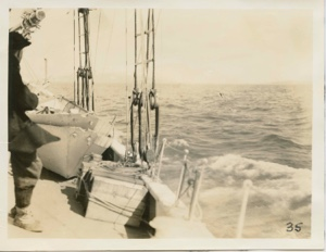 Image of Bowdoin on port tack (Dr. Gross)